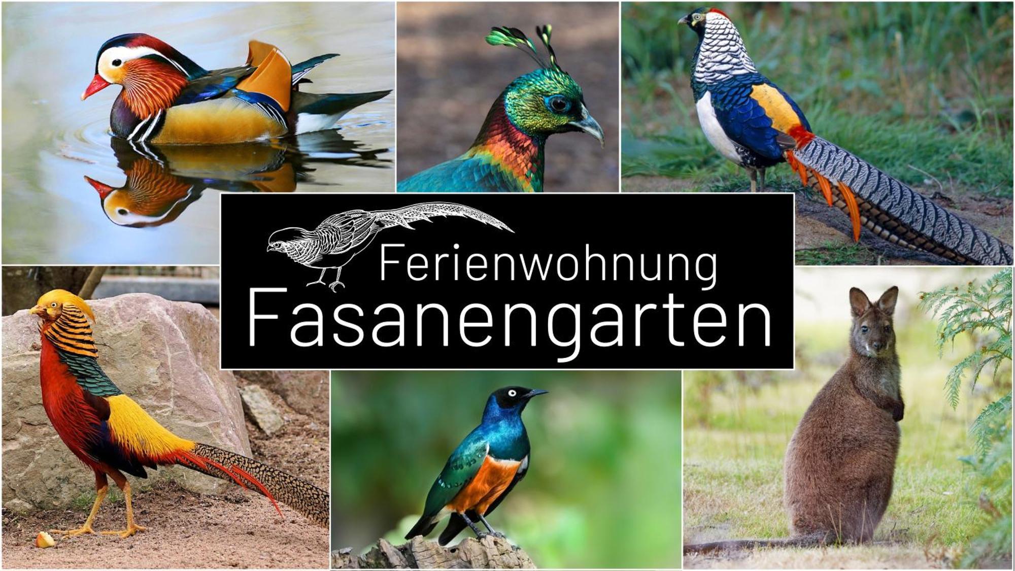 Fasanengarten In Traunreut Bagian luar foto